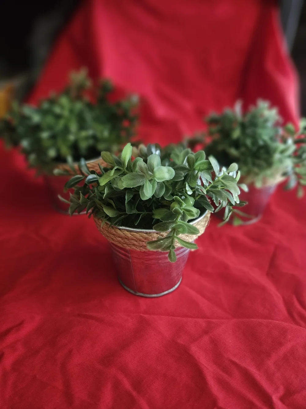 Hobby Lobby Green Faux Boxwood in Twine-Trimmed Silver Buckets